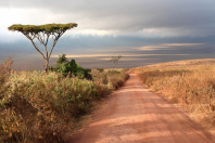 Einfahrt in den Ngorongoro